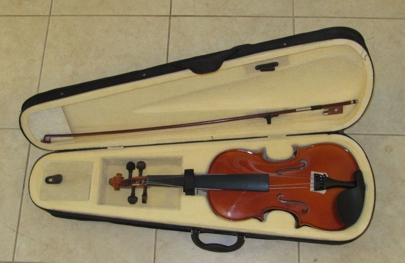 violin-solid wood.JPG