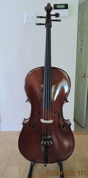 cello 2012.JPG