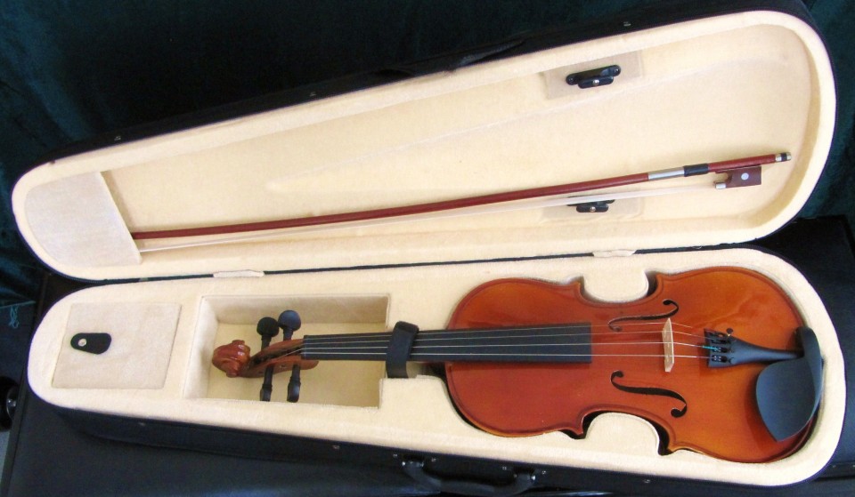 violin - solid wood.jpg